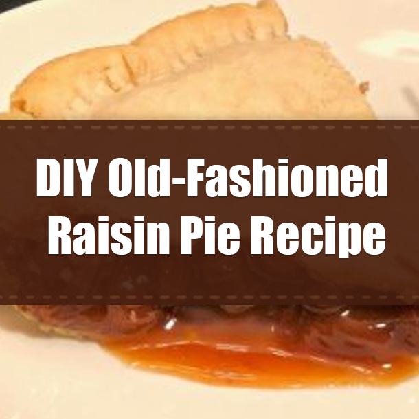 DIY Old-Fashioned Raisin Pie Recipe