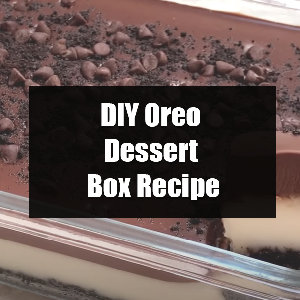 DIY Oreo Dessert Box Recipe