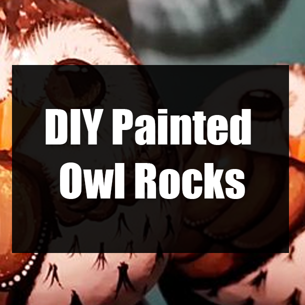 DIY Painted Owl Rocks