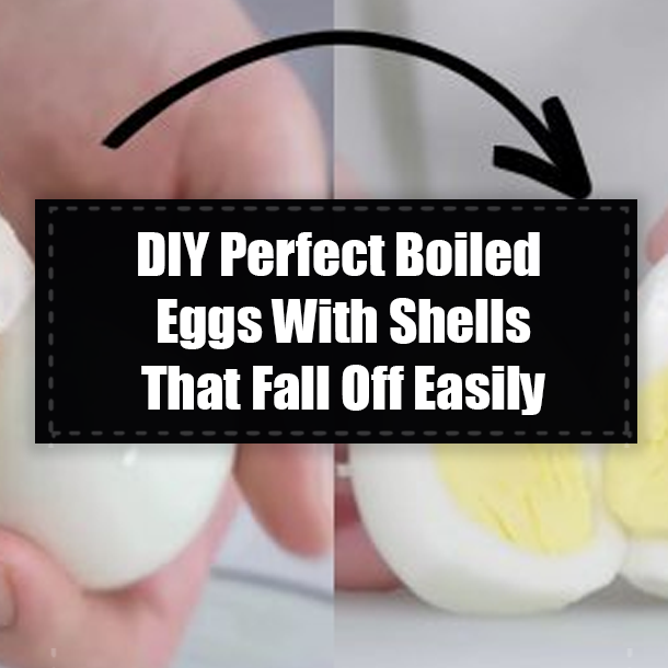 DIY Perfect Boiled Eggs With Shells That Fall Off Easily