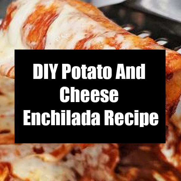 DIY Potato And Cheese Enchilada Recipe