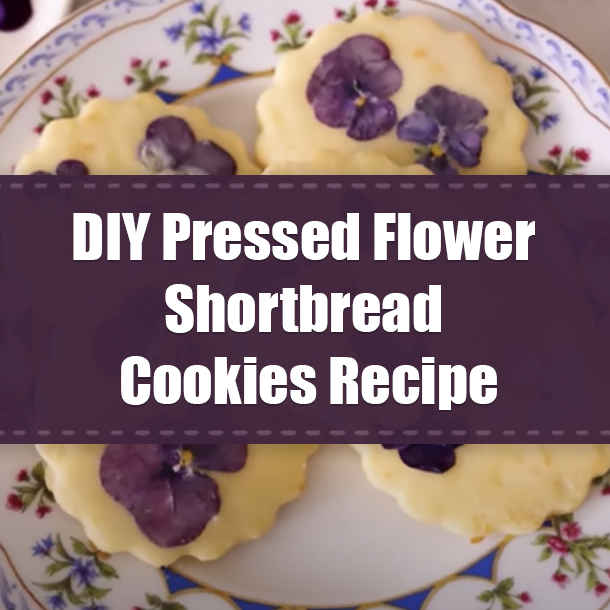DIY Pressed Flower Shortbread Cookies Recipe