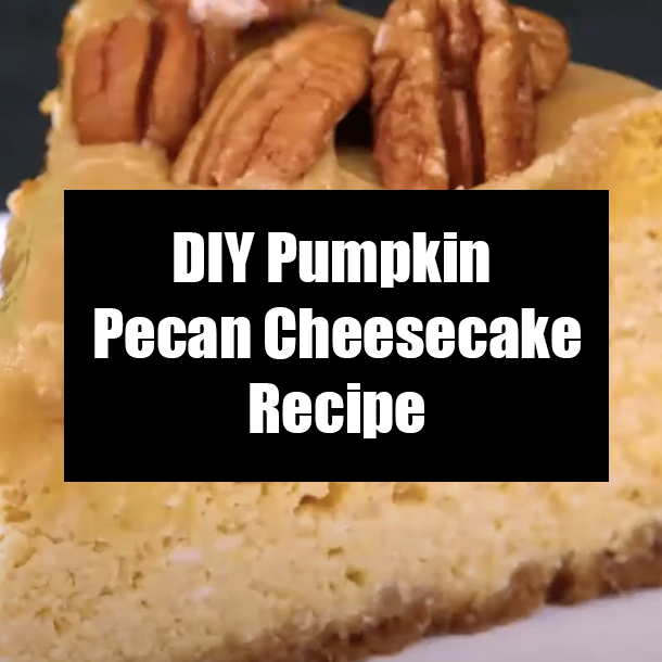 DIY Pumpkin Pecan Cheesecake Recipe