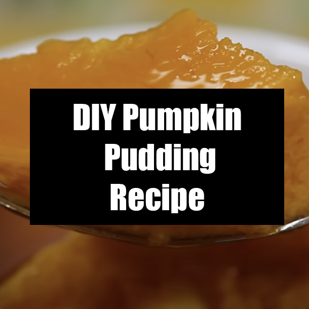 DIY Pumpkin Pudding Recipe