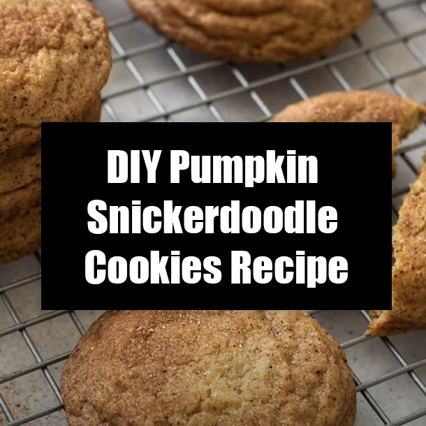 DIY Pumpkin Snickerdoodle Cookies Recipe