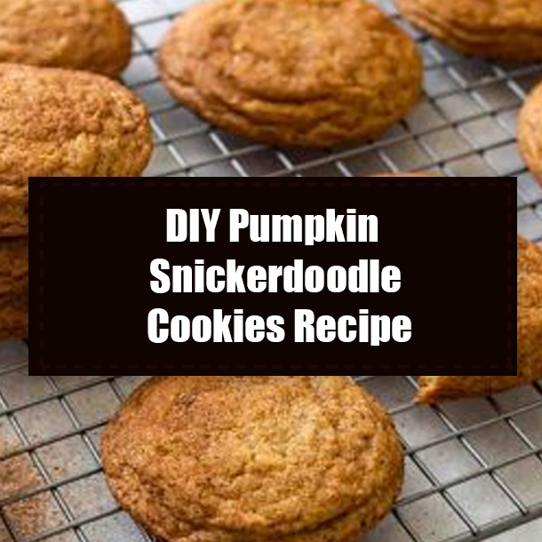 DIY Pumpkin Snickerdoodle Cookies Recipe