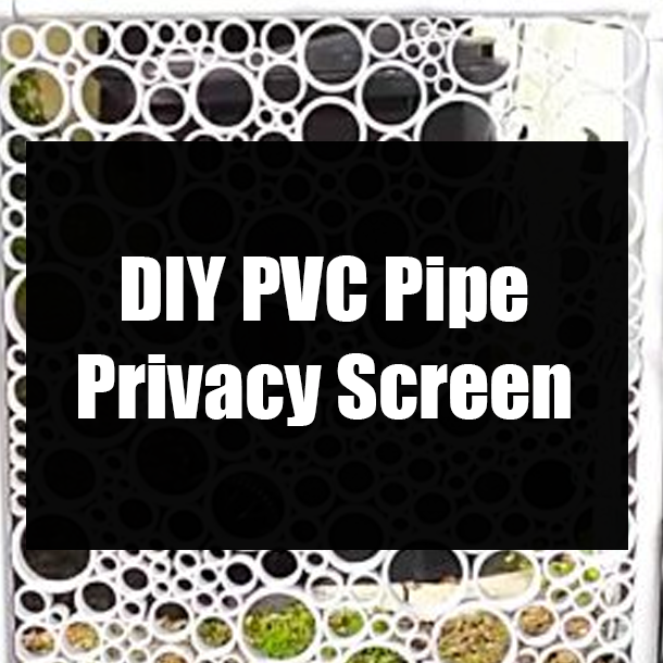 DIY PVC Pipe Privacy Screen