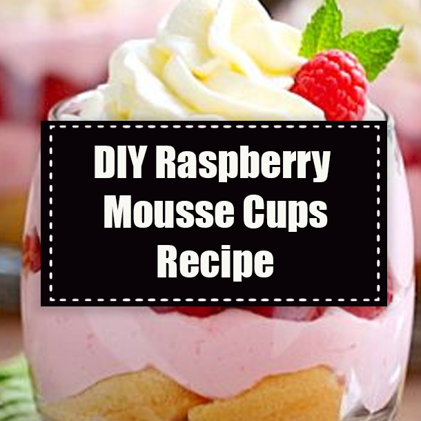 DIY Raspberry Mousse Cups Recipe