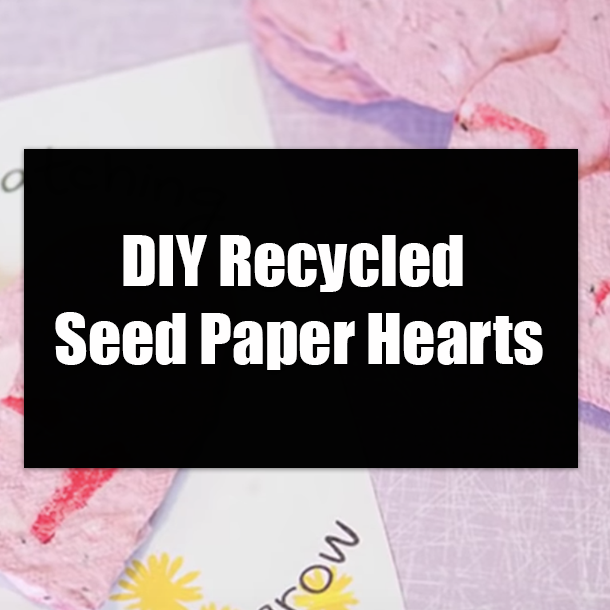 DIY Recycled Seed Paper Hearts
