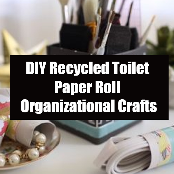 DIY Recycled Toilet Paper Roll Organizational Crafts
