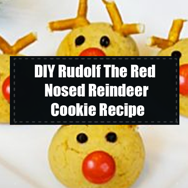 DIY Rudolf The Red Nosed Reindeer Cookie Recipe