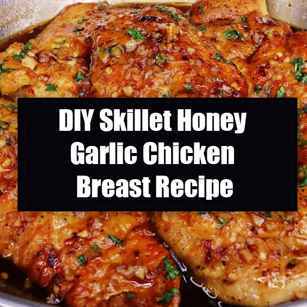 DIY Skillet Honey Garlic Chicken Breast Recipe
