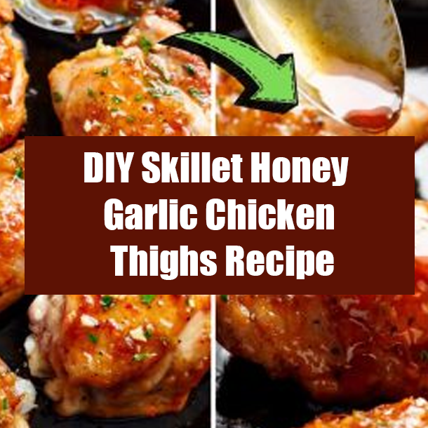 DIY Skillet Honey Garlic Chicken Thighs Recipe