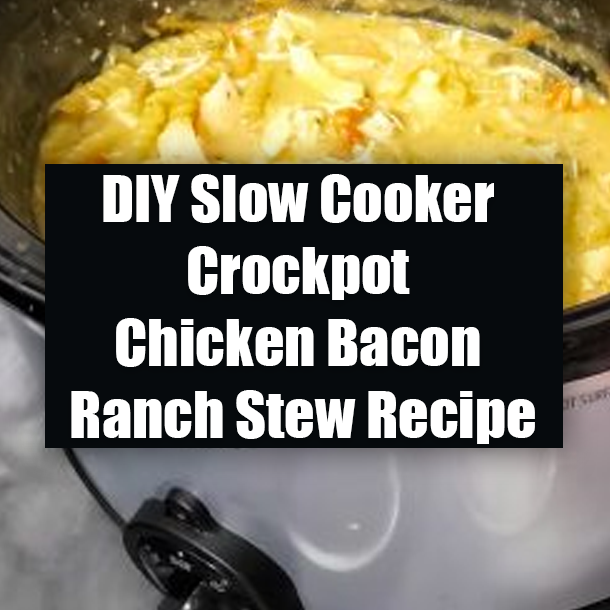 DIY Slow Cooker Crockpot Chicken Bacon Ranch Stew Recipe