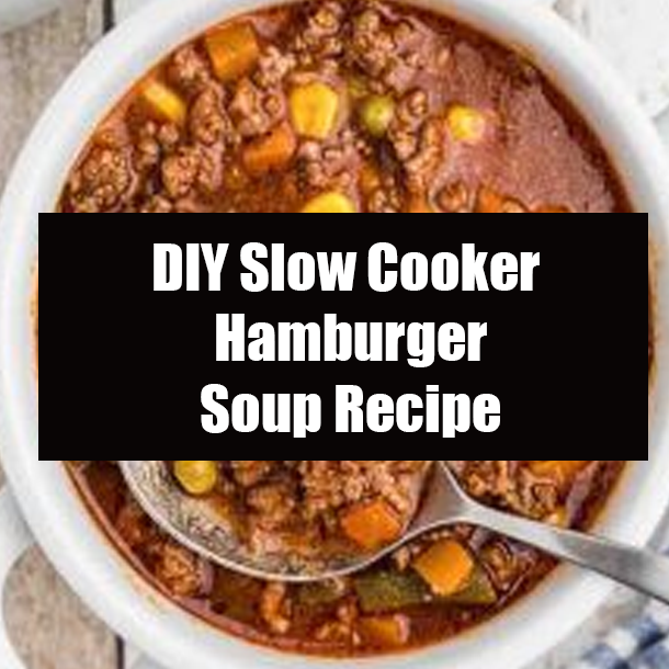DIY Slow Cooker Hamburger Soup Recipe