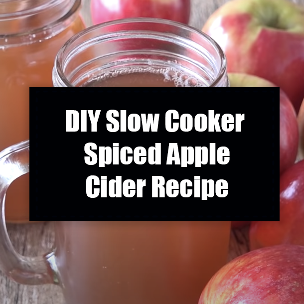 DIY Slow Cooker Spiced Apple Cider Recipe