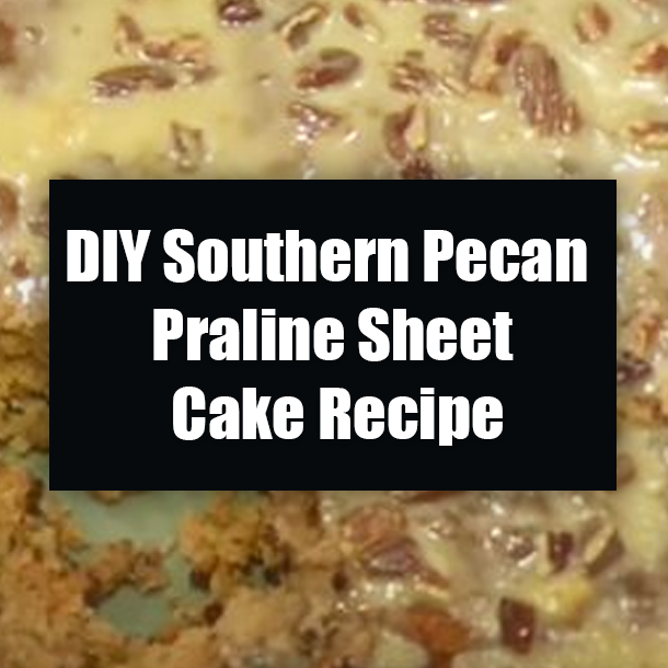 DIY Southern Pecan Praline Sheet Cake Recipe