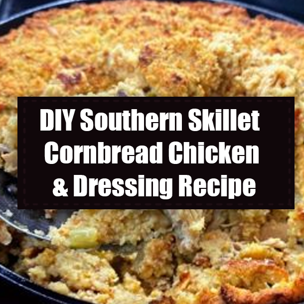 DIY Southern Skillet Cornbread Chicken & Dressing Recipe
