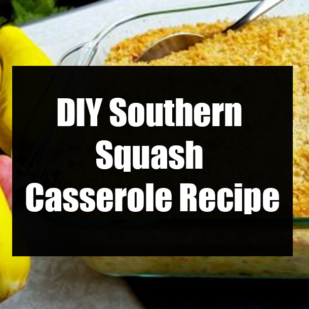 DIY Southern Squash Casserole Recipe