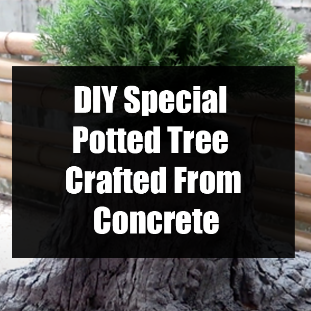 DIY Special Potted Tree Crafted From Concrete