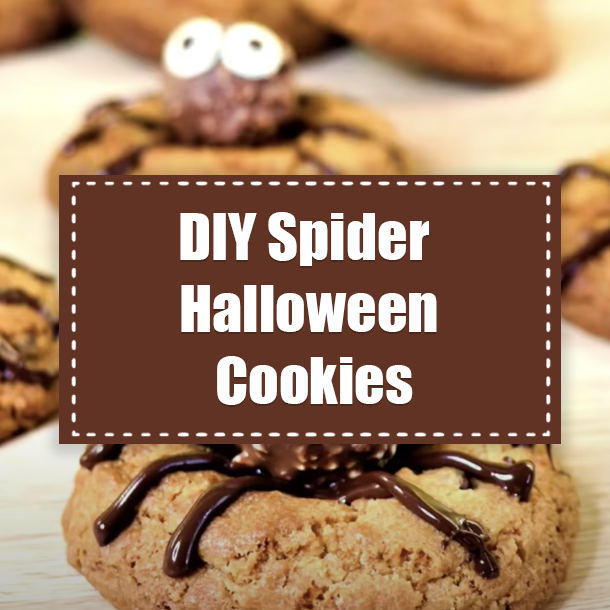 DIY Spider Halloween Cookies