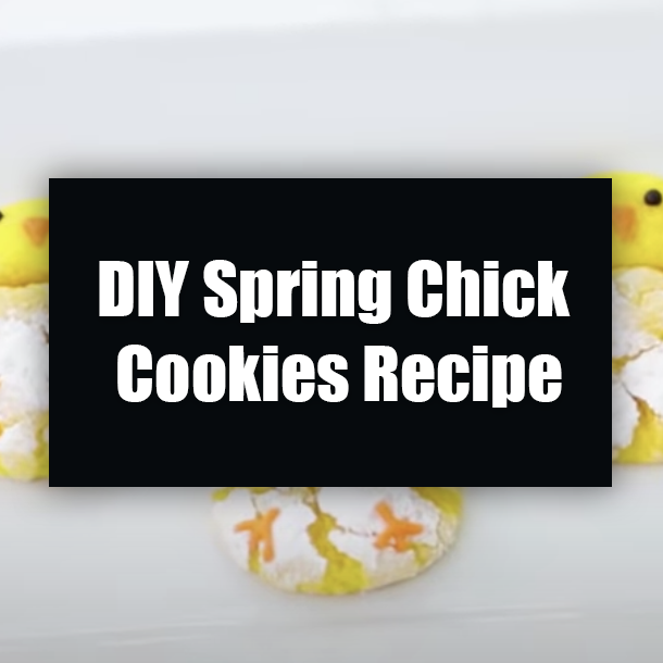 DIY Spring Chick Cookies Recipe