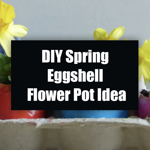 DIY Spring Eggshell Flower Pot Idea