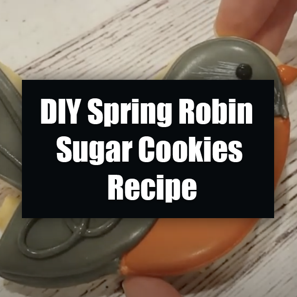 DIY Spring Robin Sugar Cookies Recipe