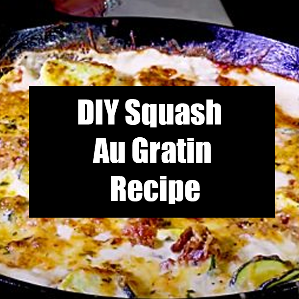 DIY Squash Au Gratin Recipe