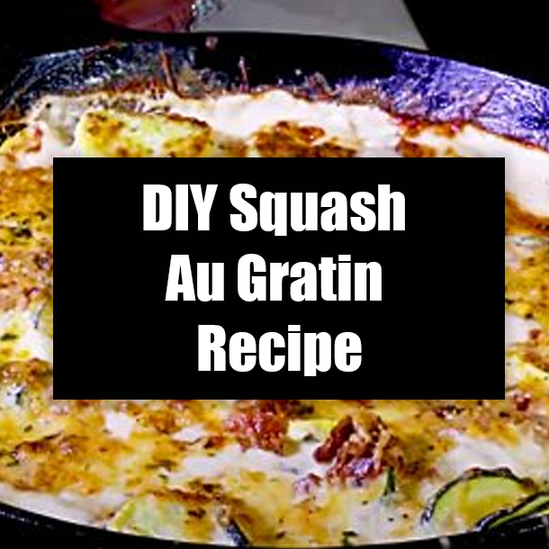 DIY Squash Au Gratin Recipe
