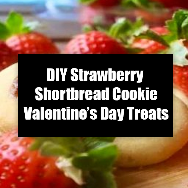 DIY Strawberry Shortbread Cookie Valentine’s Day Treats