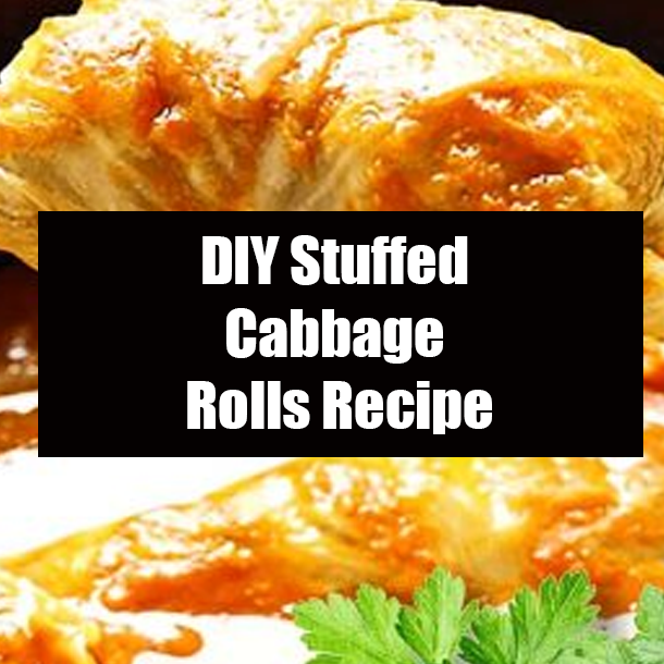 DIY Stuffed Cabbage Rolls Recipe