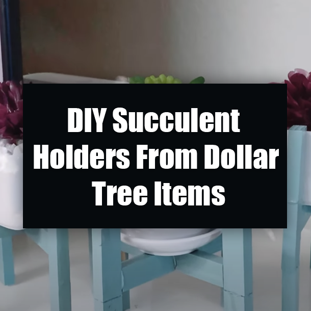 DIY Succulent Holders From Dollar Tree Items