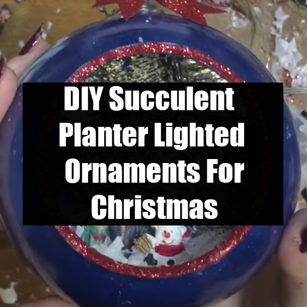 DIY Succulent Planter Lighted Ornaments For Christmas