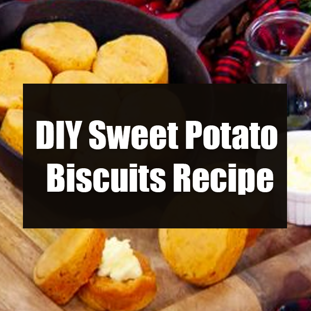 DIY Sweet Potato Biscuits Recipe