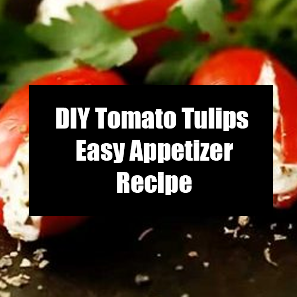 DIY Tomato Tulips Easy Appetizer Recipe