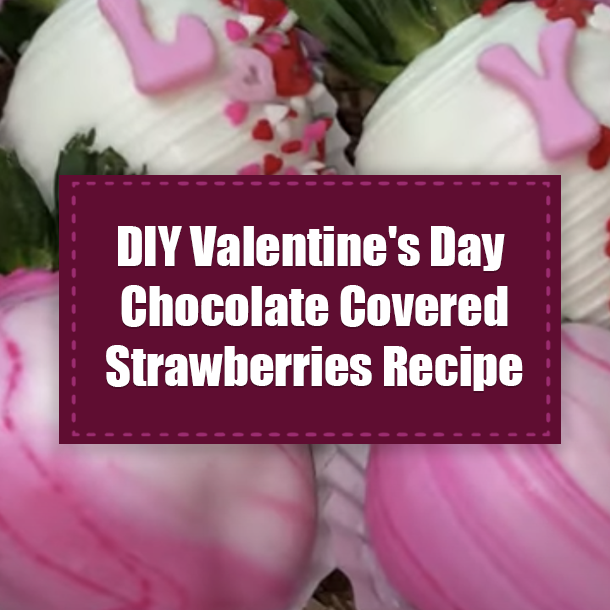DIY Valentine's Day Chocolate Covered Strawberries Recipe