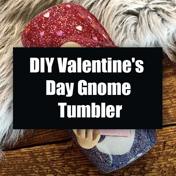 DIY Valentine's Day Gnome Tumbler