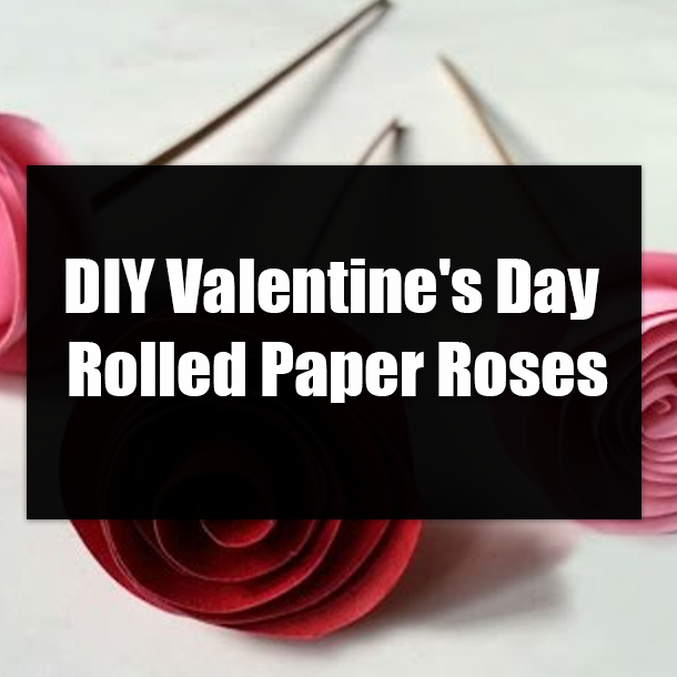 DIY Valentine's Day Rolled Paper Roses