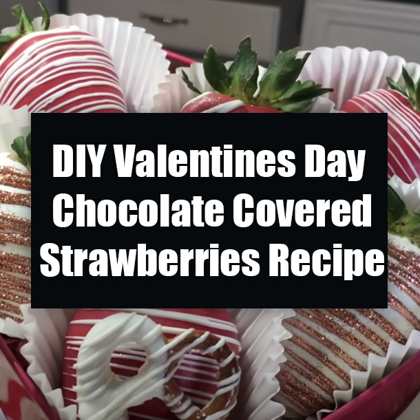 DIY Valentines Day Chocolate Covered Strawberries Recipe