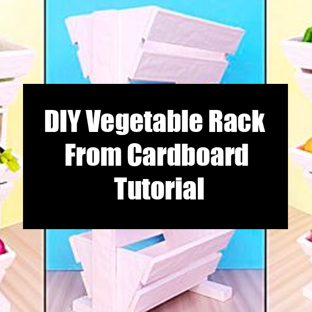 DIY Vegetable Rack From Cardboard Tutorial