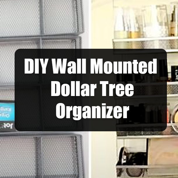 DIY Wall Mounted Dollar Tree Organizer