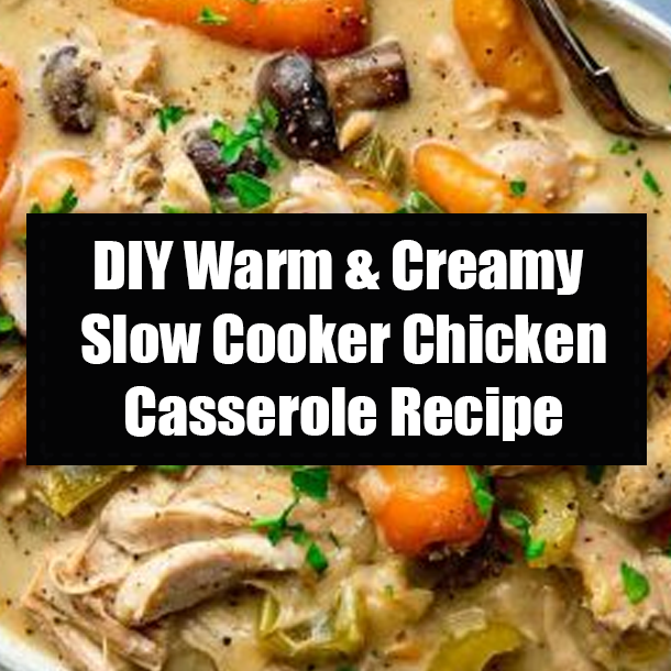 DIY Warm & Creamy Slow Cooker Chicken Casserole Recipe
