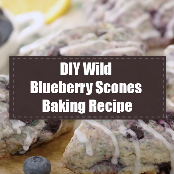 DIY Wild Blueberry Scones Baking Recipe