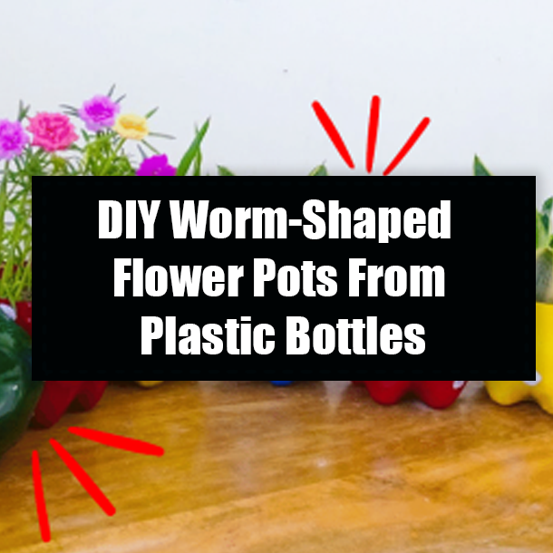 DIY Worm-Shaped Flower Pots From Plastic Bottles