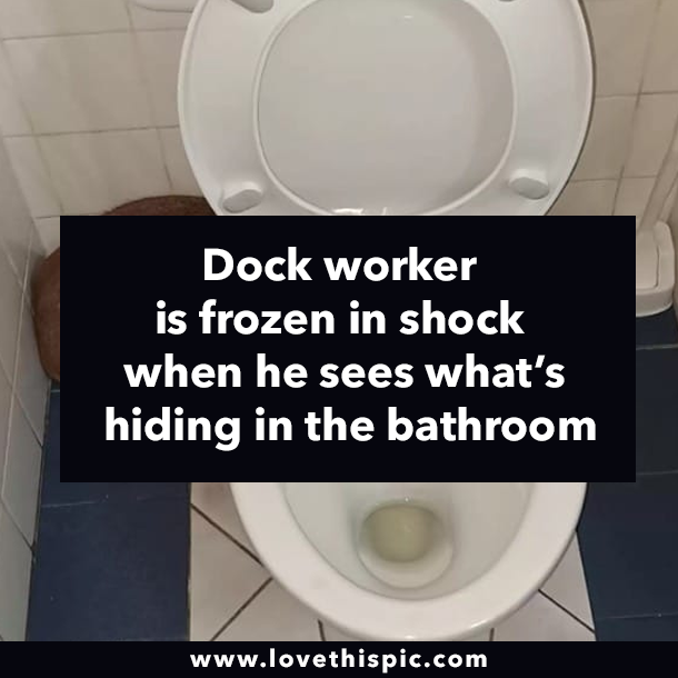 Dock worker is frozen in shock when he sees what’s hiding in the bathroom