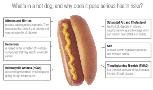 Doctors: stop feeding your kids hot dogs immediately - picture 2