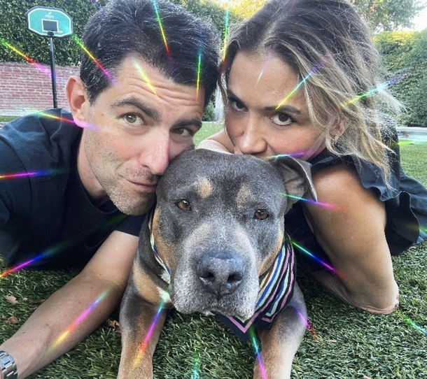Dog 400 days to find forever, finally gets adopted by ‘New Girl’ TV star Max Greenfield - picture 3