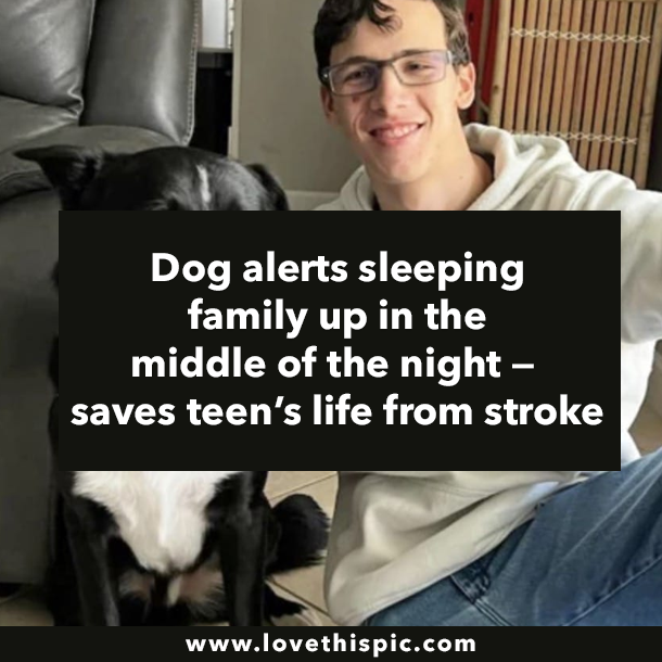 Dog alerts sleeping family up in the middle of the night — saves teen’s life from stroke