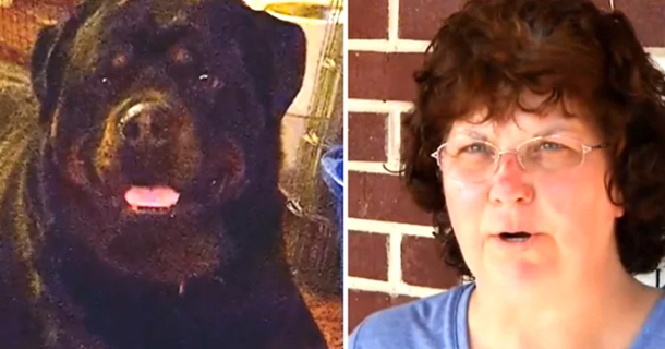 Dog Barks Aggressively To Get Owner's Attention. When She Understands Why, She Springs Into Action - picture 2